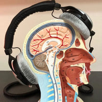 AIRNERGY+ Vitalisator: Stream HS V2
